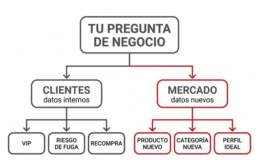 Preguntas de segmentación